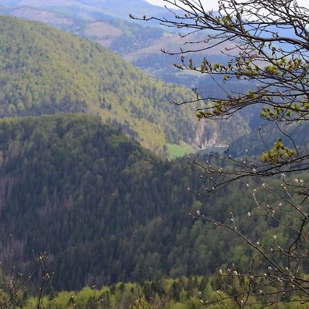 Penzion Thamasy Spišské Tomášovce Exterior foto