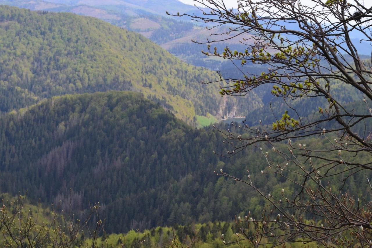 Penzion Thamasy Spišské Tomášovce Exterior foto