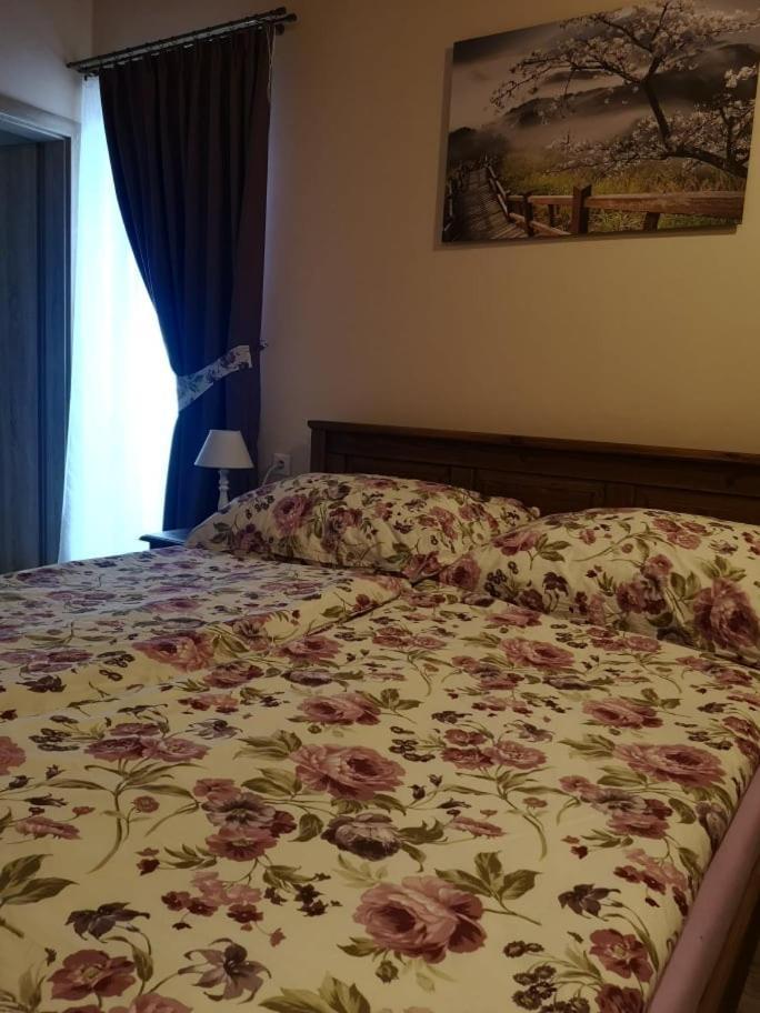 Penzion Thamasy Spišské Tomášovce Exterior foto