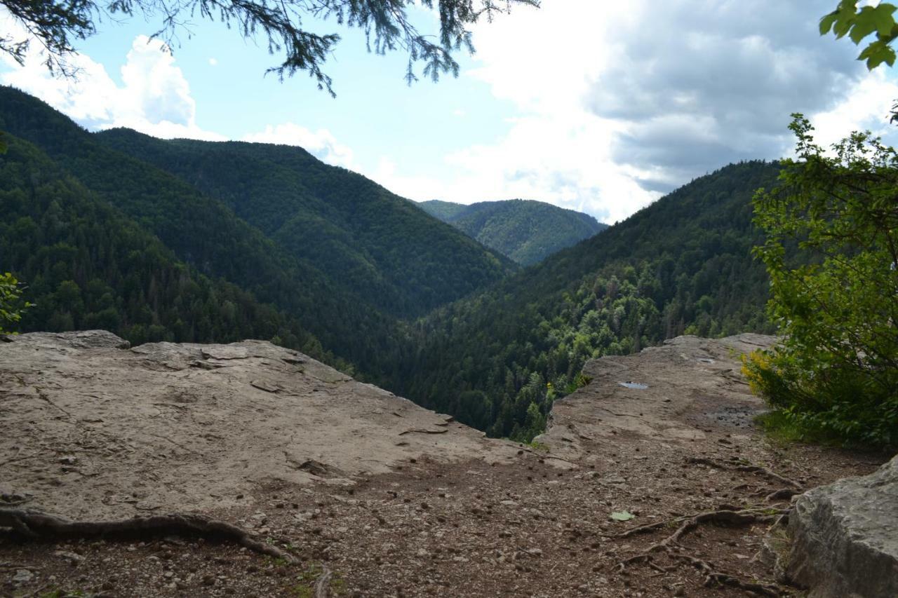 Penzion Thamasy Spišské Tomášovce Exterior foto