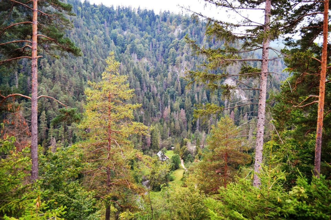 Penzion Thamasy Spišské Tomášovce Exterior foto