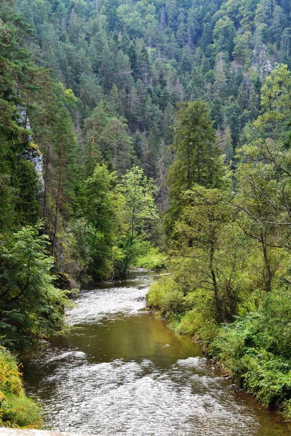 Penzion Thamasy Spišské Tomášovce Exterior foto